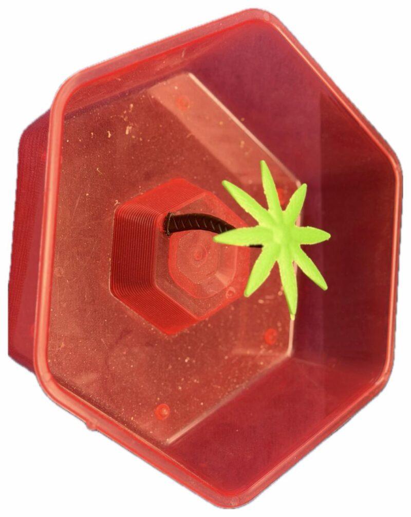 acualuz tortuguero hexagonal acrilico acualuz Pieza SKU 101421