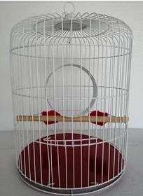 Piolin Jaula ave perico horneada No. 3 Piolin Pieza SKU 782
