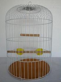 Piolin Jaula ave perico horneada No. 5 Pieza SKU 801