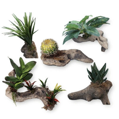 Petmmal adorno reptil rama ornamentacion B petmmal Pieza SKU TI502