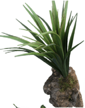 Petmmal Adorno reptil rama ornamentacion mini Petmmal Pieza SKU TL510