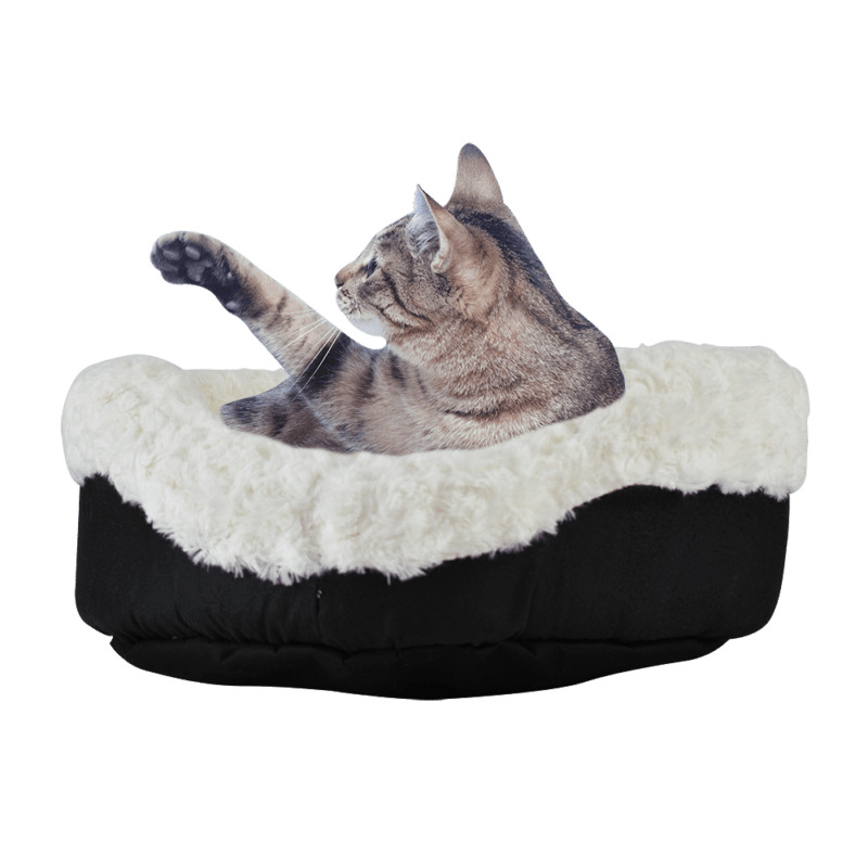 Fancy pet cama gato angora fancy pets Pieza SKU TX10357