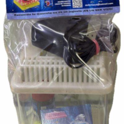 Azul Betera acrilico cuadrada led blanca SKU 81752