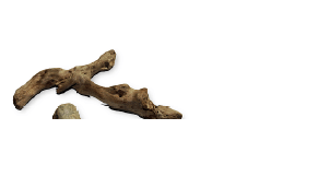 Petmmal adorno reptil madera para terrario petmmal SKU ti207