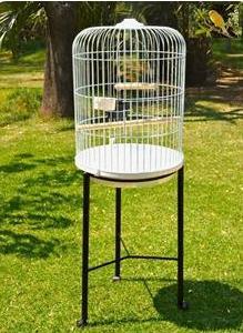 Piolin Jaula ave exotica canario con base SKU 803