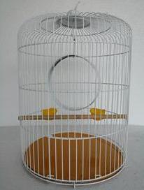 Piolin Jaula ave perico Horneada 0 Piolin Pieza SKU 780