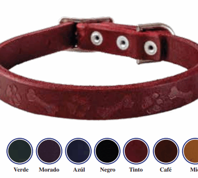tibet collar perro piel grabada  mediano 18 tibet SKU 3017000