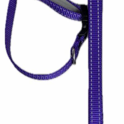 bernal collar con correa ch, reflejante flourecente bernal SKU 45602