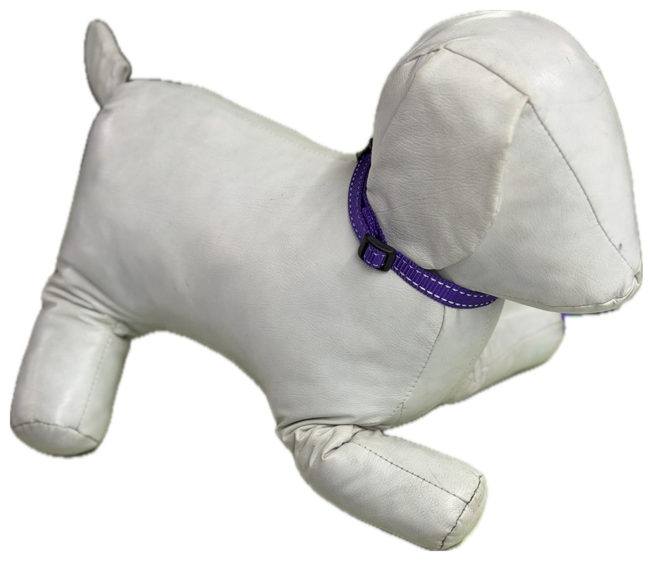 bernal collar con correa ch, reflejante flourecente bernal SKU 45602 - Imagen 2