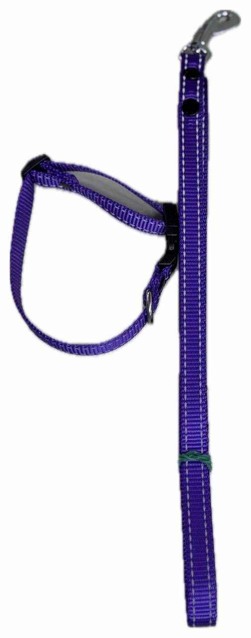 bernal collar con correa ch, reflejante flourecente bernal SKU 45602