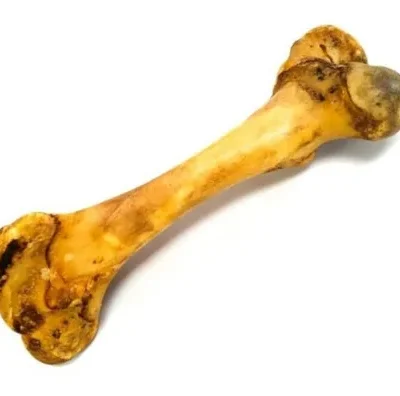 Qkn carnaza perro hueso puerco/mamut qkn SKU 2959