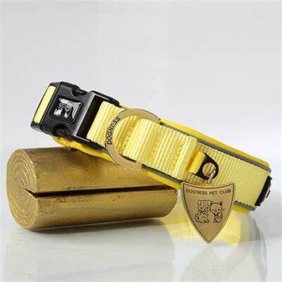 Dogness Collar perro classic amarillo extra-chico Azoo SKU dg241