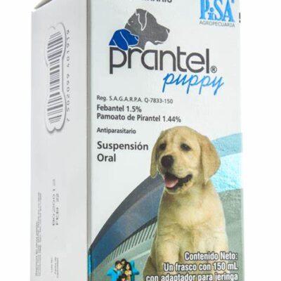 Covegusa* Farm. perro suspension prantel puppy 5ml covegusa SKU co042