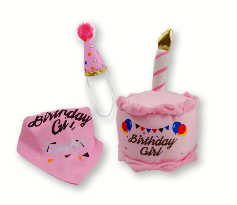 Sharpaw disfras perro set happy birth rosa sharpaw SKU sp-3490