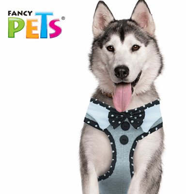 fancy pet Arnes perro modelaje corbatin xgde fancy pets SKU TX40811