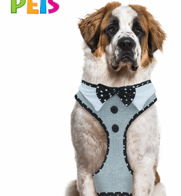 fancy pet Arnes perro modelaje corbatin xxgde fancy pets SKU TX40812